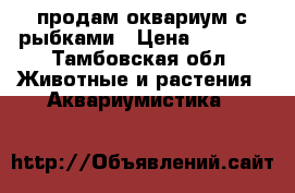 продам оквариум с рыбками › Цена ­ 1 000 - Тамбовская обл. Животные и растения » Аквариумистика   